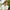 OPENFIT